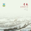 青春在西部闪光