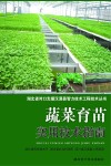 蔬菜育苗实用技术指南