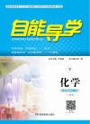 自能导学·化学  九年级全一册  人教版  下