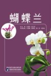 蝴蝶兰封面