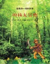 雨林大冒险