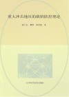重大冲击地压的缺陷防控理论封面