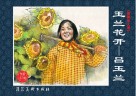 玉兰花开  吕玉兰