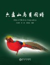 六盘山鸟类图谱