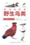 发现山之美