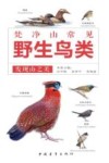 发现山之美