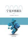 宁夏区情报告  2020  上