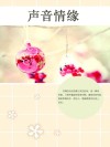 声音情缘