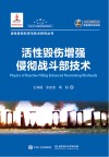 活性毁伤增强侵彻战斗部技术封面