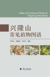 兴隆山常见植物图谱