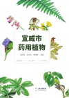宣威市药用植物封面