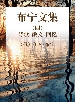 布宁文集  4  诗歌  散文  回忆