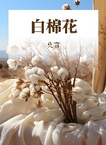 白棉花