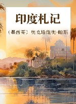 印度札记 封面