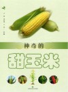 神奇的甜玉米封面