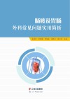 肠瘘及胃肠外科常见问题实用简析封面