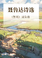 聂鲁达诗选 封面