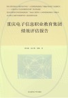 重庆电子信息职业教育集团绩效评估报告