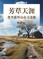 芳草天涯  费孝通外访杂文选集