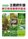 豫西地区主要秋作物常见病虫害原色图谱封面