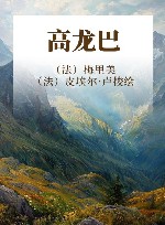 高龙巴