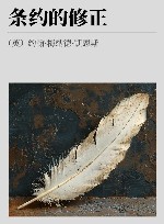 条约的修正