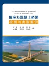 预应力混凝土桥梁检测与典型案例封面