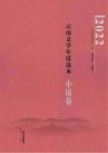 2022云南文学年度选本  小说卷