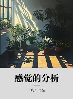 感觉的分析封面
