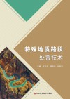 特殊地质路段处置技术