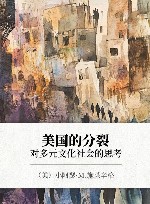 美国的分裂  对多元文化社会的思考
