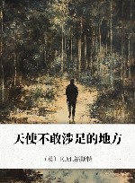 天使不敢涉足的地方 封面