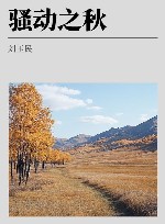 骚动之秋 封面