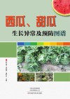 西瓜、甜瓜生长异常及预防图谱封面