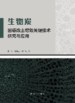 生物炭固碳改土增效关键技术研究与应用封面