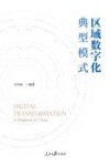 区域数字化  典型模式