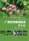 广西观赏植物图谱  灌木篇封面
