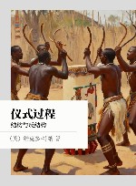 仪式过程  结构与反结构封面