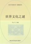 世界文化之谜封面