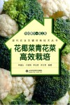 科技惠农一号工程  花椰菜青花菜高效栽培封面