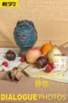 对话照片  3  静物