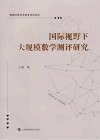 国际视野下大规模数学测评研究