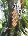神秘的金丝楠木封面