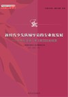 新时代少先队辅导员的专业化发展  少先队活动课  研究论文精选