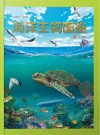 海洋生物图鉴