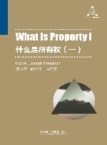 什么是所有权  1