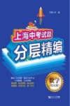 上海中考试题分层精编  数学（提高题）