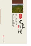走出黑眼湾有声版