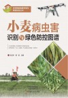 小麦病虫害识别与绿色防控图谱封面