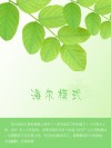 海尔模式